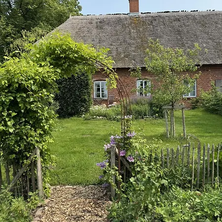 Kutscherremise Gut Niendorf - Abc592 - Nur Feriengaeste! Appartement *
